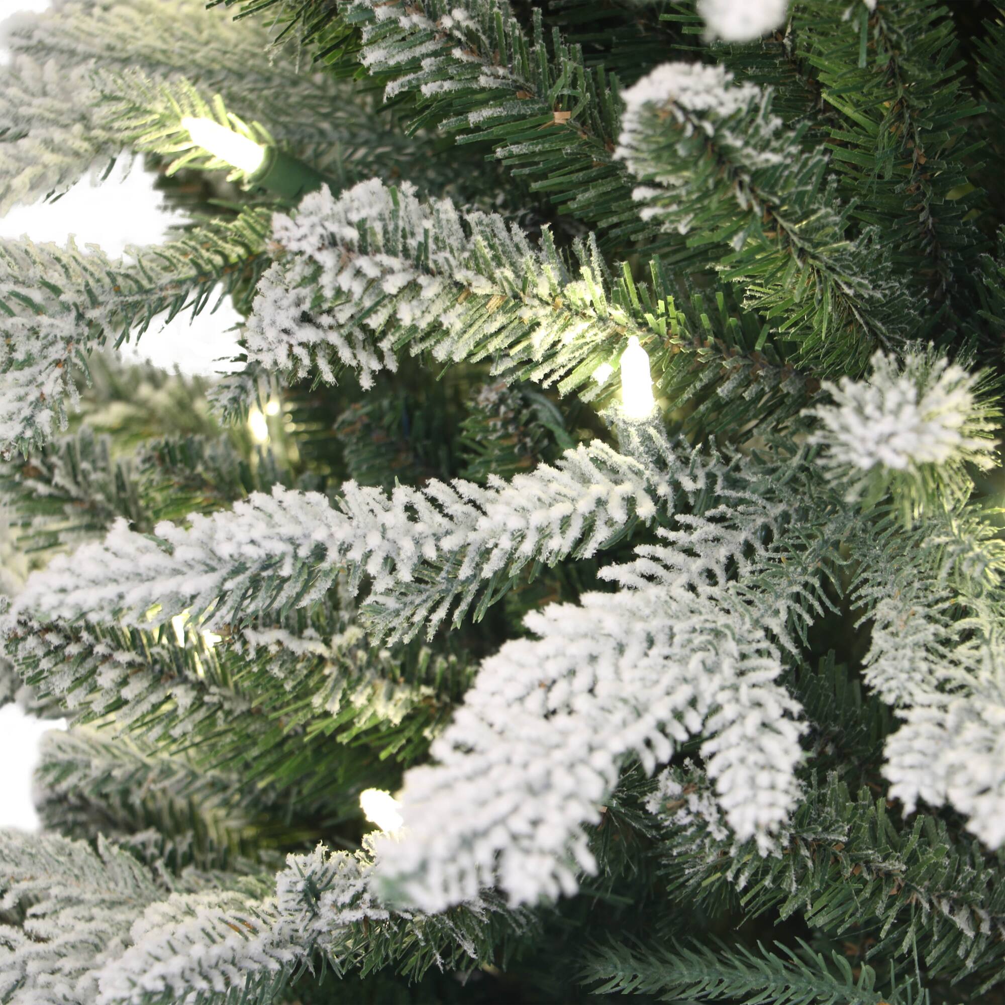 6 Pack: 3ft. Pre-Lit Flocked Arctic Fir Tree in Stump Planter, Warm White LED Lights